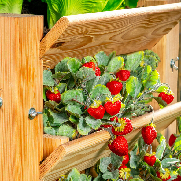 Strat de grădină înălțat din lemn de zada Premium L Natural, 66 x 66 x 73 cm