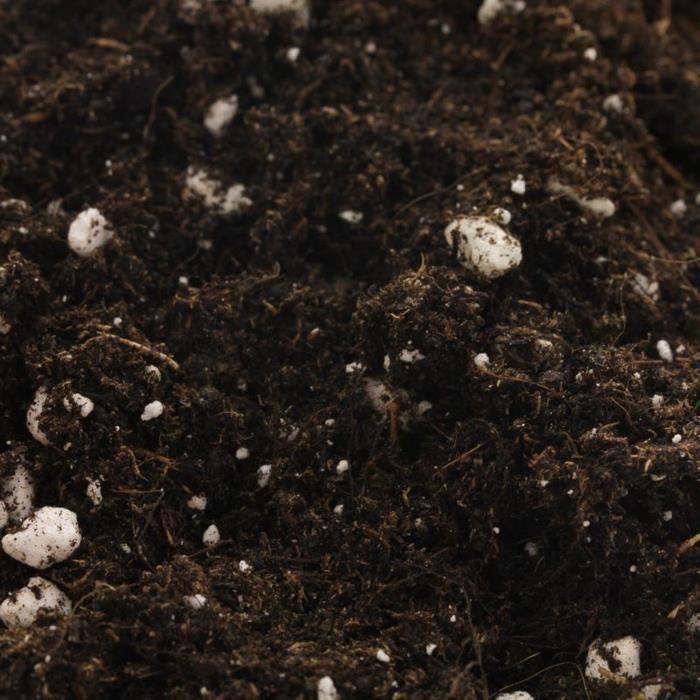BIOBIZZ Terreau de floraison All-Mix sol - Sac de 50 L