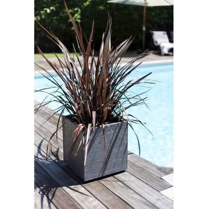 Maceta cuadrada de 50 cm - EDA - Grafito - 57 L - 49,5 x 49,5 x 49,5 cm - Gris antracita