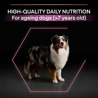 PURINA PRO PLAN Medium & Large Erwachsene ab 7 Jahren
