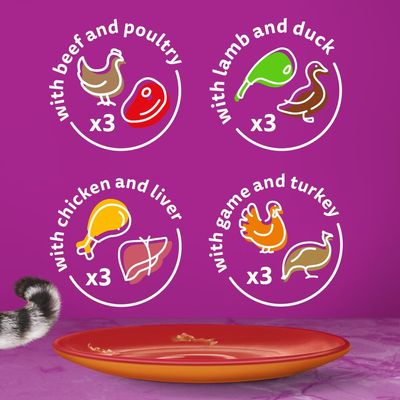 Whiskas 1+ Duo Fleischige Kombinationen in Gelee