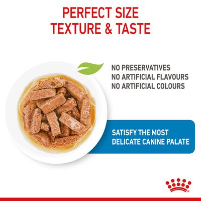 Royal Canin Maxi Puppy en sauce