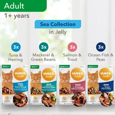 IAMS Delights Adult – Sea Collection