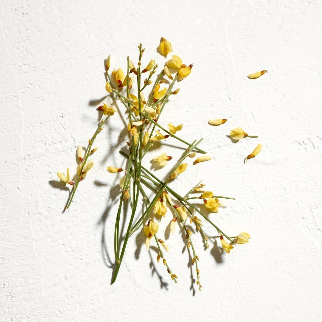 Jil Sander Eau de Parfum Sun sievietēm – 75 ml