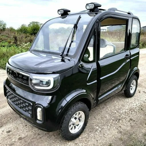 Backlog-2-Sitzer Elektro-Outdoor-Scooter
