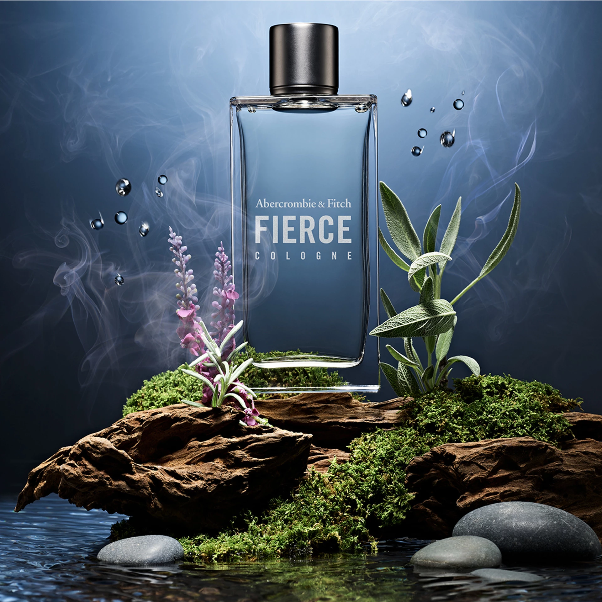 Fierce kolonjska voda 50 ml - Abercrombie & Fitch