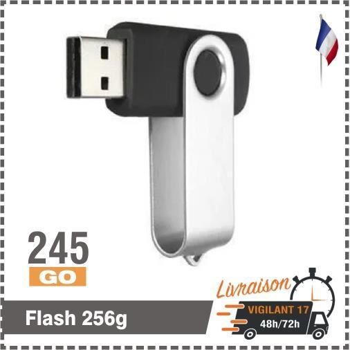 Clé USB - TEMPSA - 256 Go - USB 3.0 - Rotatif - Noir