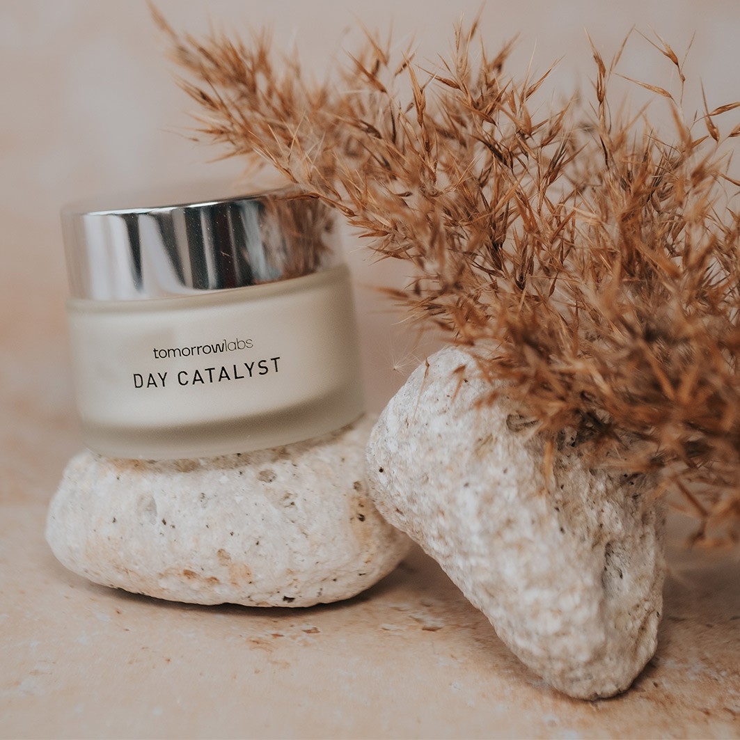 tomorrowlabs Day Catalyst