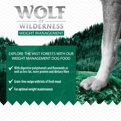 Wolf of Wilderness „Explorează Pădurile Vaste” - Controlul Greutății