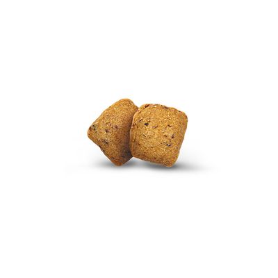 Grønt kjæledyrfôr VeggieDog kornfritt