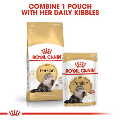 Royal Canin Persian Adulto em Patê