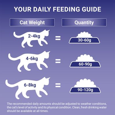 Ração seca para gatos com necessidades especiais PURINA ONE - Pacotes econômicos