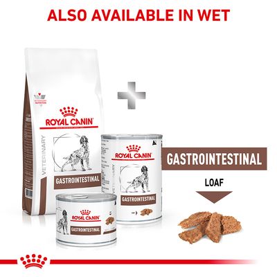 Royal Canin Veterinary Dog - Mave-tarm