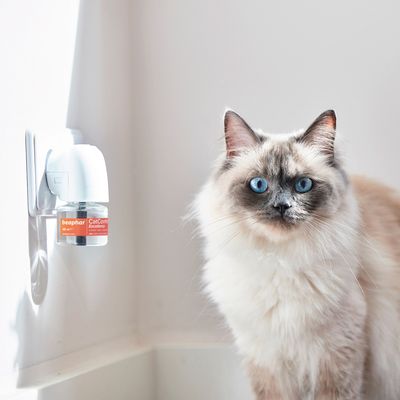 beaphar CatComfort® Excellence Beroligende Diffuser til Katte