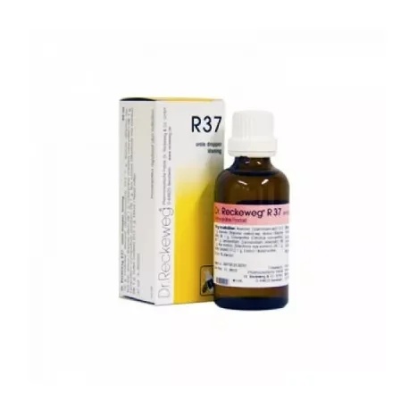DR.RECKEWEG Dr. Reckeweg R 37 druppels 22 ml Homeopathisch middel voor de darmen