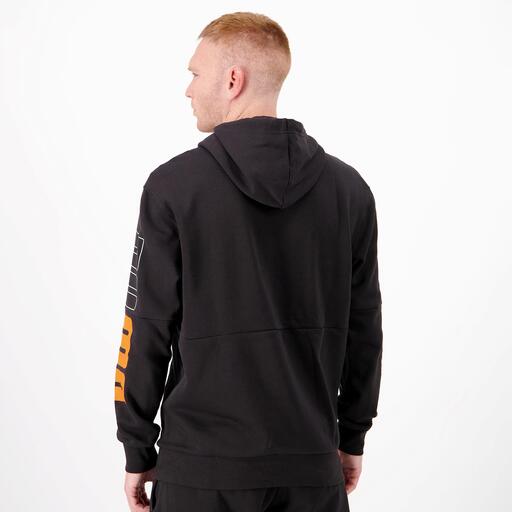  Puma galia