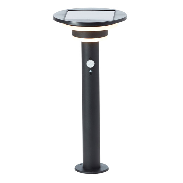 Ηλιακό φως Garvina LED με ανιχνευτή κίνησης, 45 cm