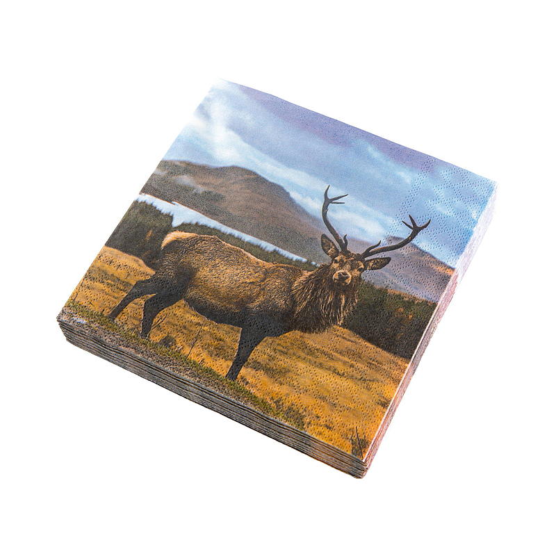 Vie Eco Servetter 20-pack 33x33 cm, Höst