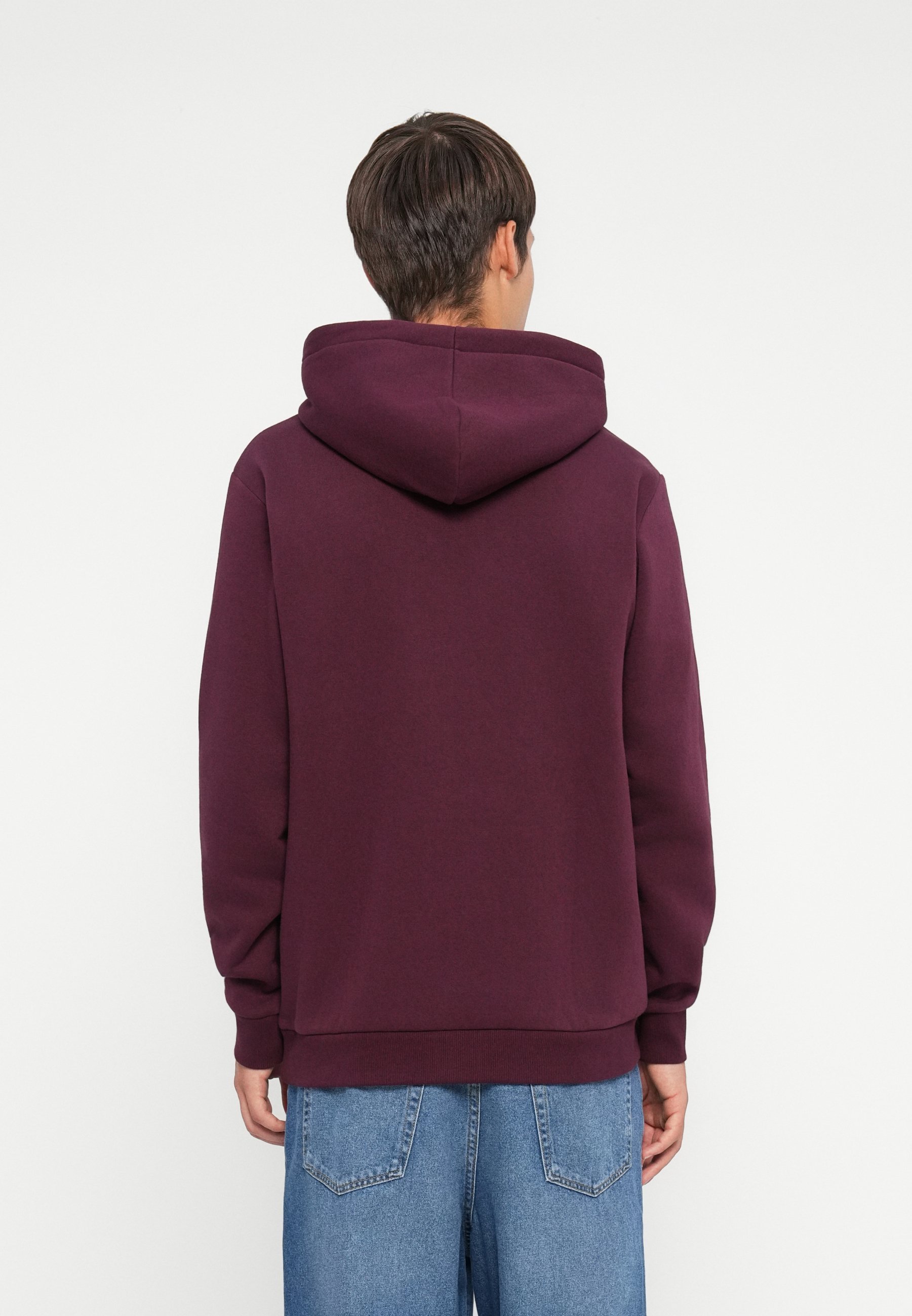 Sweat à capuche Only & Sons ONSCERES - Port Royale