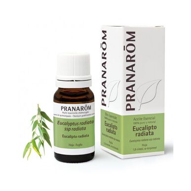 Pranarôm Eukalyptus Radiata -eteerinen öljy 10 ml 10 ml