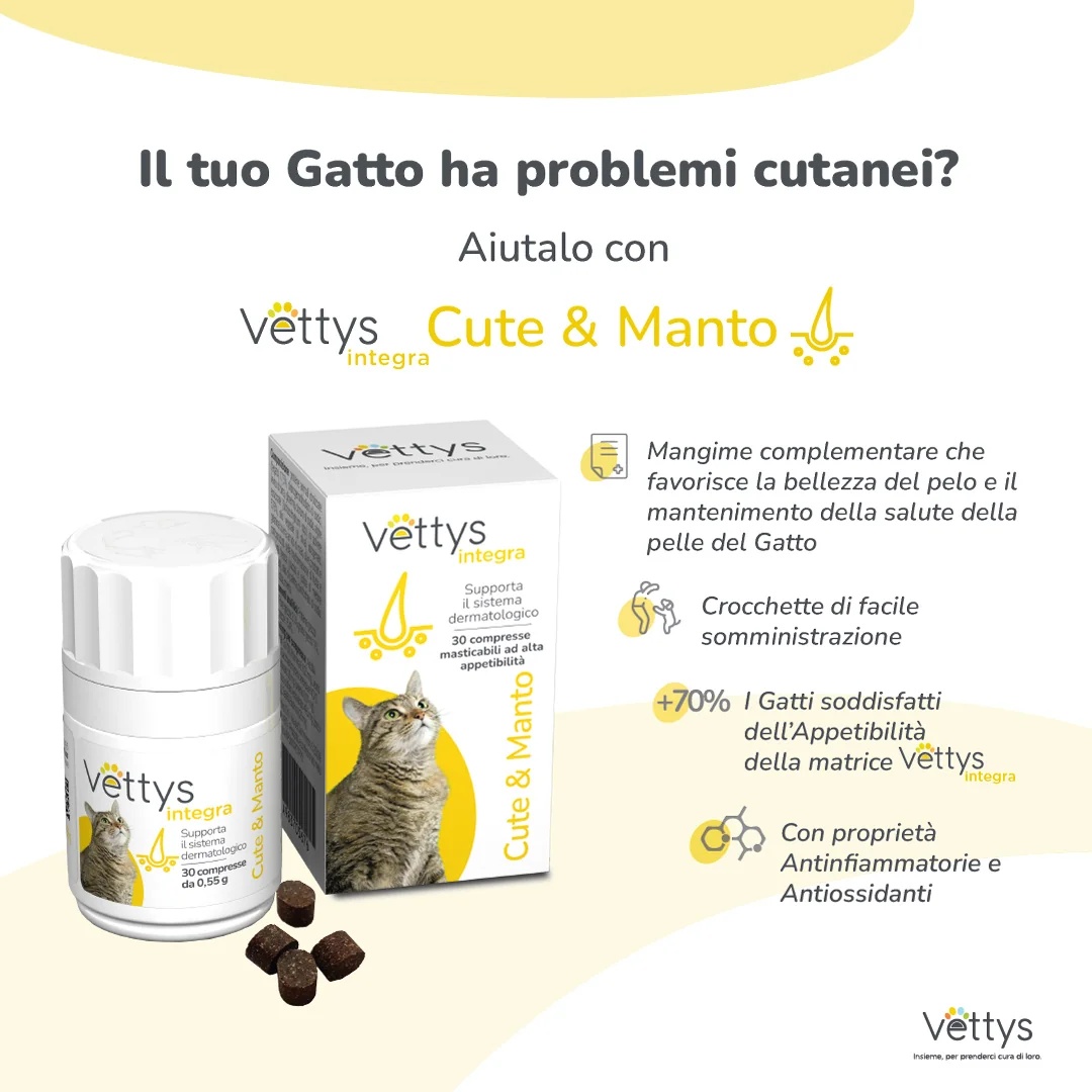 VETTYS Vettys Integra Cute&Manto Cat 30 tabletten voor een gezonde vacht